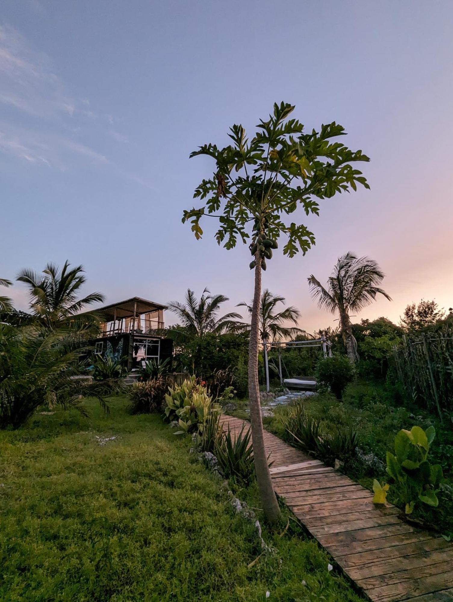Jambiani Backpackers Hostel Luaran gambar