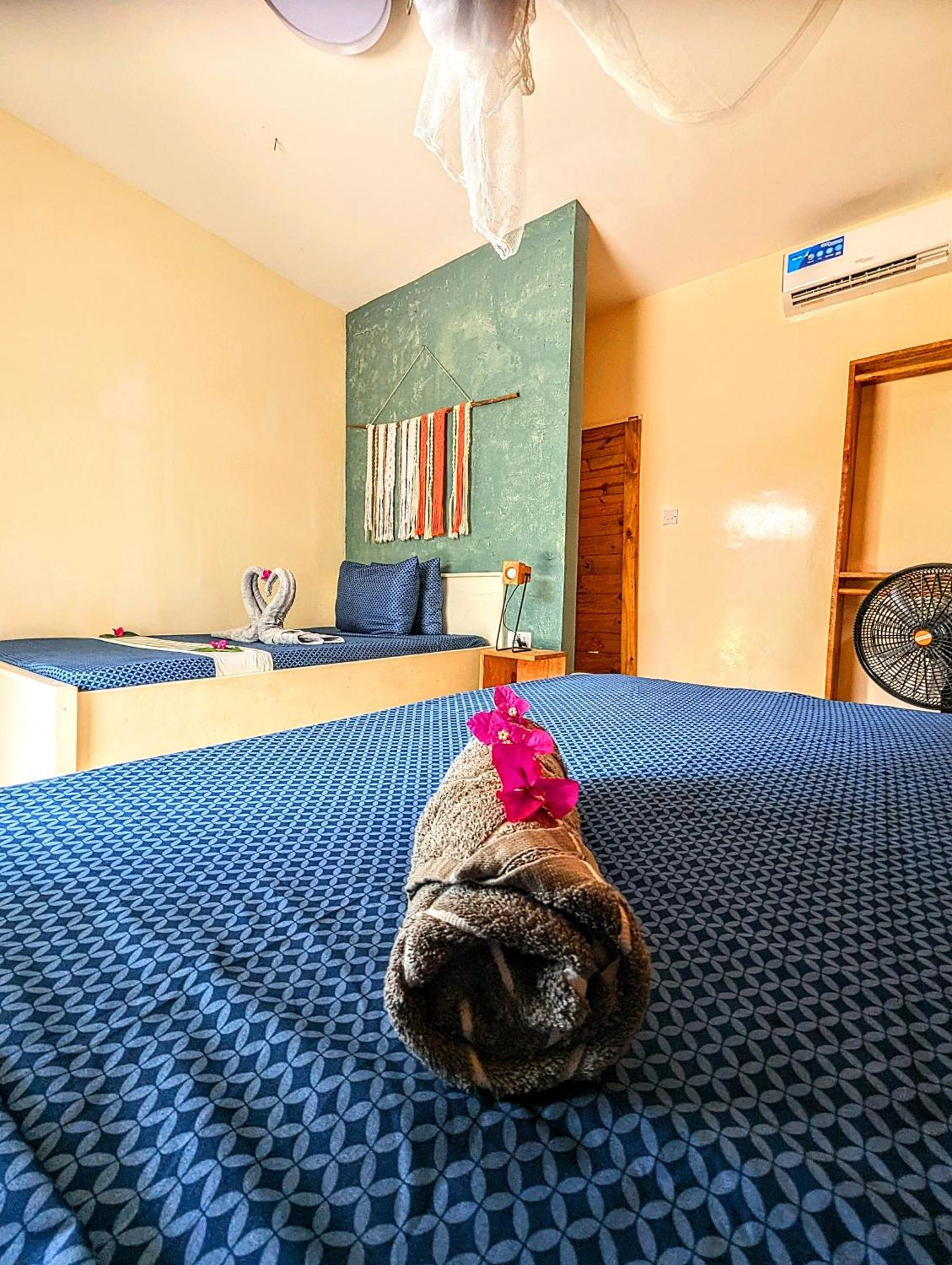 Jambiani Backpackers Hostel Bilik gambar